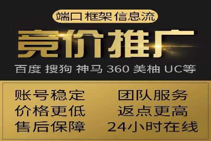 网络推广秘籍：竞价排名成功案例集锦